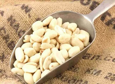 Getting To Know blanched peanuts + The exceptional price of buying blanched peanuts