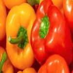 Learning to buy an bell pepper australia from zero to one hundred
