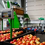 Learning to buy an fruit sorting machine from zero to one hundred