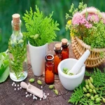 The price of bulk purchase of medicinal plants of nagaland is cheap and reasonable