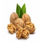 Getting to know best quality walnut  + the exceptional price of buying best quality walnut