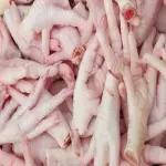 Raw chicken feet bulk buying guide with special conditions and exceptional price