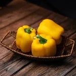 Bulk purchase of yellow bell pepper in spanish with the best conditions