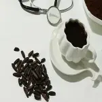 Bulk purchase of date coffee seed with the best conditions