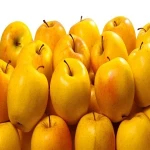 rose apple in gujarati specifications and how to buy in bulk