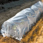 Price and purchase plastic greenhouse roll with complete specifications