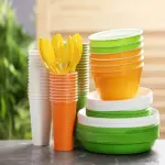 Disposable plastic plates for wedding reception + Best Buy Price