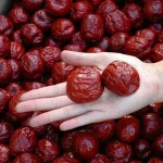 jujube fruit in marathi with complete explanations and familiarization