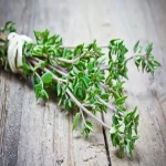 The Purchase Price of Miraculous Thyme Plants + Training