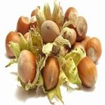 Learning to buy an hazelnut fruit in hindi from zero to one hundred
