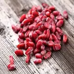 Bulk purchase of smallest red barberry with the best conditions