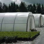 greenhouse tunnel plastic specifications and how to buy in bulk