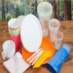 buy and price of Luxury disposable tableware
