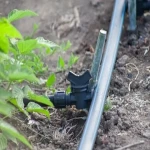 Price and purchase drip irrigation polyethylene with complete specifications