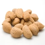 The price of bulk purchase of almond nut in chinese is cheap and reasonable