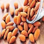 Almond kernel | Sellers at reasonable prices Italian silk fabric
