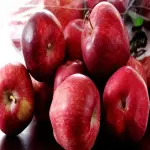 Iran red delicious apple | Buy at a cheap price