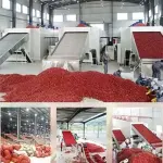 industrial fruit dryer machine acquaintance from zero to one hundred bulk purchase prices