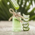 Bulk purchase of aloe vera fresh for hair with the best conditions