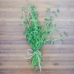 Price and purchase dried thyme leaves in tagalog with complete specifications