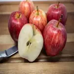 Introducing red gala apple  + the best purchase price