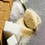 Pure date sugar price list wholesale and economical
