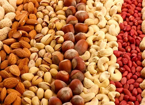 dry nuts in hindi with complete explanations and familiarization