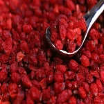 best barberry for hedge specifications and how to buy in bulk