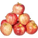Purchase and Price of luxury royal gala apple  Types