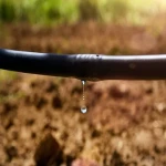 Drip irrigation tape Buying Guide with Special Conditions and Exceptional Price
