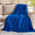 blue soft blanket buying guide with special conditions and exceptional price