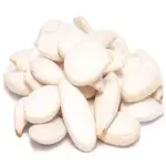 Pumpkin seed raw with complete explanations and familiarization