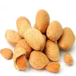 sweet almond trees uk price list wholesale and economical