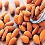 buy the best types of organic almonds at a cheap price