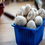 Natural fresh mushroom price list wholesale and economical
