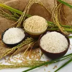 Organic long rice with complete explanations and familiarization