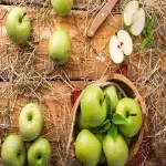 Red gala apple nutrition