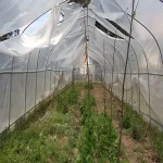 Price and purchase greenhouse plastic sheet with complete specifications