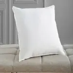 Nice soft pillow with complete explanations and familiarization