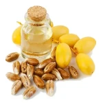 Bulk purchase of date kernel oil with the best conditions