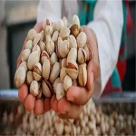 The price of Salted Pistachio + cheap purchase
