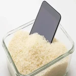 Bulk purchase of yellow top rice with the best conditions