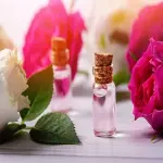 rose water in urdu acquaintance from zero to one hundred bulk purchase prices