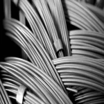 Getting to know Steel Wire + the exceptional price of buying Steel Wire