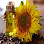 Sunflower Seeds Price per kg