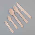 Unique Eco Friendly Disposable Cutlery Set+ price