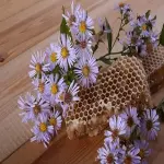 Lavender honey raw acquaintance from zero to one hundred bulk purchase prices