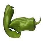 best green bell pepper price list wholesale and economical