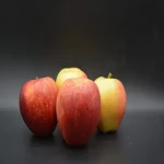 Purchase and Price of Wholesale Pink Lady Apple