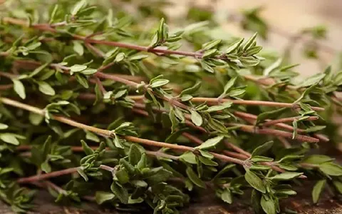 آویشن کوهی برای عفونت؛ ضد سرفه سرماخوردگی ویتامین C A